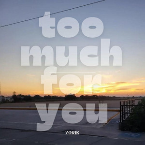 too much for you by ZORIK