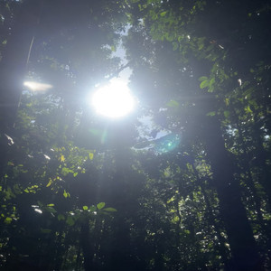 Let the Light In by Liwanag