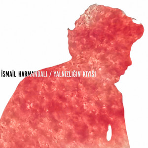 Yalnızlığın Kıyısı by İsmail Harmandalı