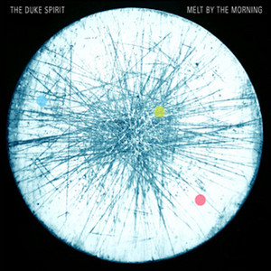 Cuts Across the Land - Album by The Duke Spirit | Spotify