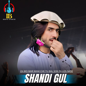 Shandi Gul - Na Mane Damkai De Cha