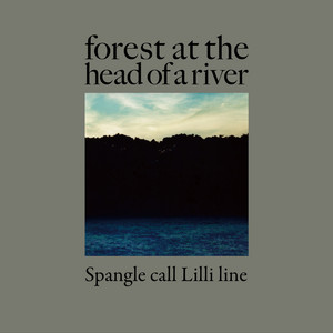 Forest at the Head of a River cover