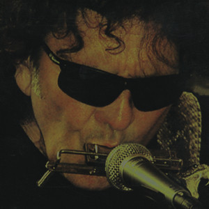 The Shine cover