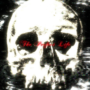 The Perfect Life by Milord
