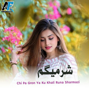 AF Pashto Sandari - Chi Pa Gron Ya Ku Khali Runa Sharmazi (Live)