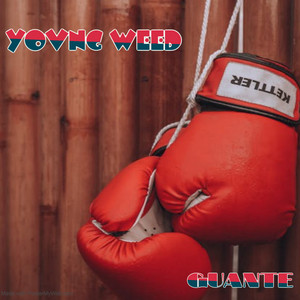 GUANTES by YOVNGWEED