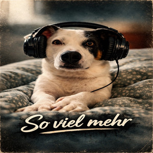 So Viel Mehr by Esrâ