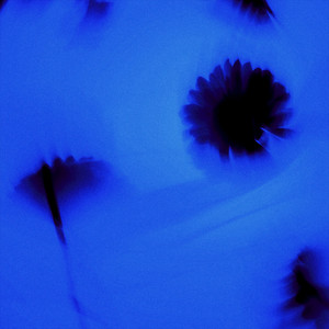 mine by void.