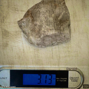 Scale