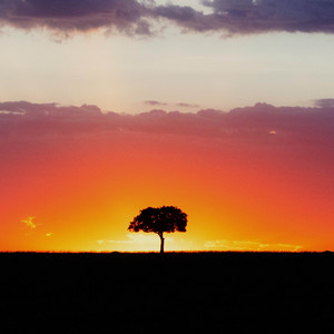 I Choose Hope