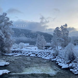 Wild - Emma Steinbakken