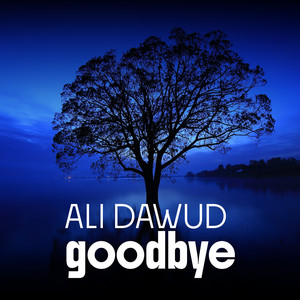 Goodbye by Ali Dawud