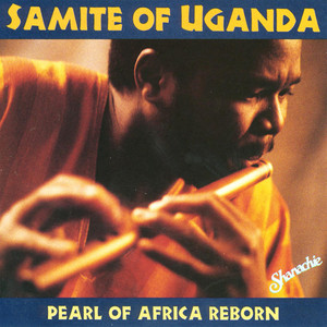 Pearl of Africa Reborn cover