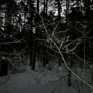 DJ DR4GM4SHROOM - REPULSIVE