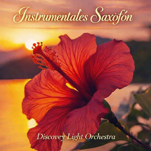 Tú Me Acostumbraste by Discovey Light Orchestra