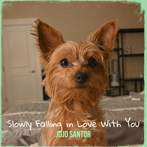 Slowly Falling in Love With You by Jojo Santor