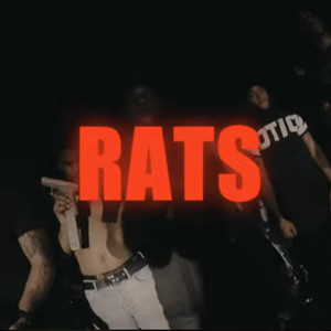 Rats by DeeYnt