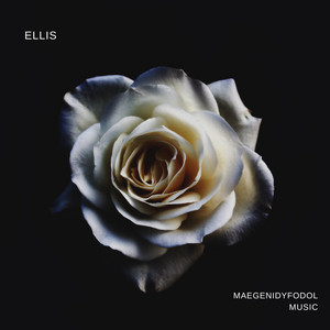 Void/Bliss by Maegenidyfodolmusic, Fractalize