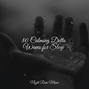 80 Calming Delta Waves for Sleep album