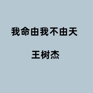 王树杰 - 我命由我不由天
