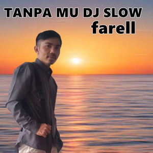Farell - without you dj slow