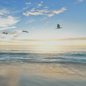 Amilton - relaxed mind