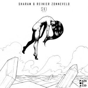 Ski cover art