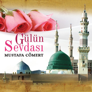 Mustafa Cömert - Gülün Sevdası