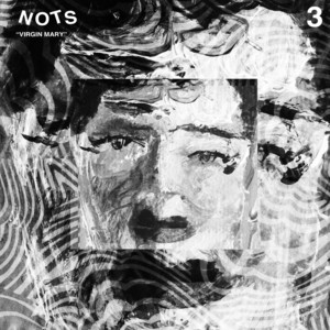 Virgin Mary by Nots