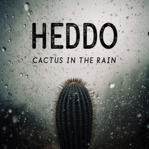 Cactus in the rain by Heddo, Lumi