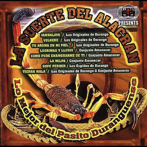 Los Originales De Durango - Volvere