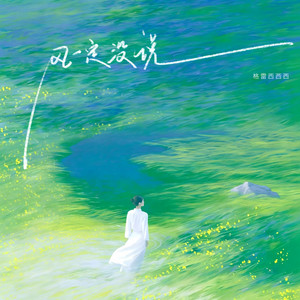 风一定没说 - DJ版 by 格雷西西西, DJ彭锐