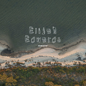Blind Alley by Elijah Edwards