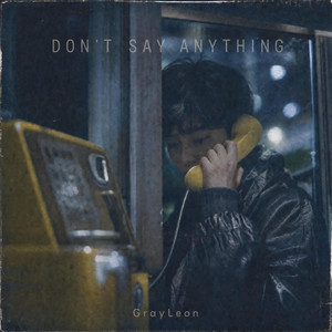 DON'T SAY ANYTHING - 何も言わないで by GrayLeon
