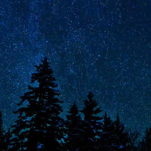 when the night felt close by Ruined Realms