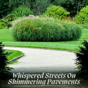 Luma Graves - Whispered Streets On Shimmering Pavements