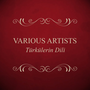 Bir Turna Uçurdum by İzzet Altınmeşe