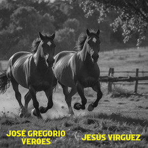 Contiendas No Unidos Si by Jose Gregorio Veroes, Jesus Virguez