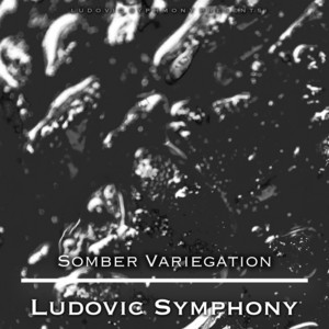 Somber Variegation by Ludovic Symphony