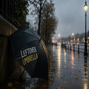 Leftover Umbrella