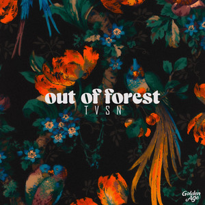Out Of Forest