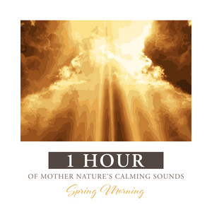 Relaxing White Noise Sounds - Spring Morning: 1 Hour of Mother Nature's Calming Sounds
