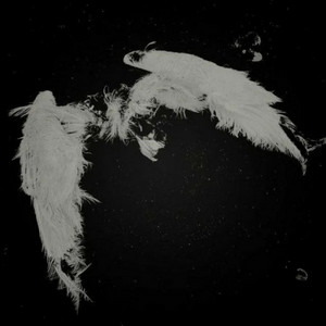 tears of ketamine by diorelic