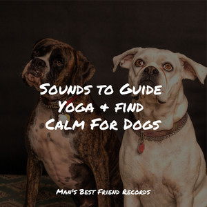 Sounds to Guide Yoga & find Calm For Dogs album