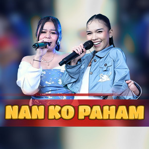 Nan Ko Paham (feat. MVL Project)