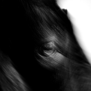 King of Nothing by Overthrower