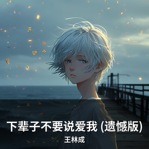 下辈子不要说爱我 (遗憾版) by 王林成