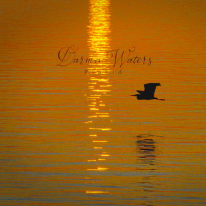 Placid by Darma Waters