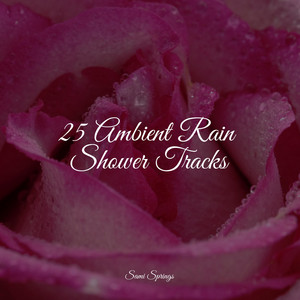 25 Ambient Rain Shower Tracks album