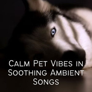 Calm Pet Vibes in Soothing Ambient Songs album